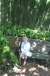 resIMG_20110624_5789.JPG